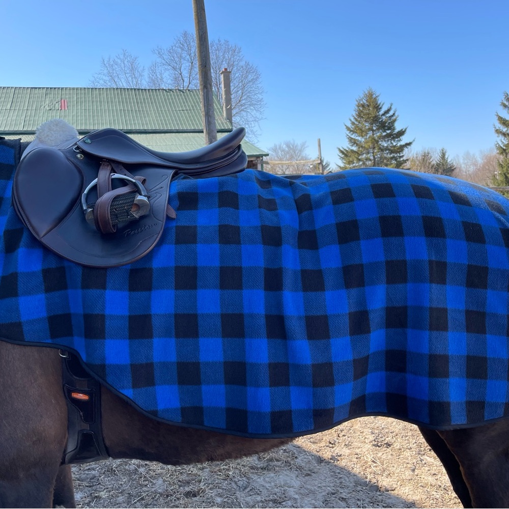 Blue buffalo plaid fleece quarter sheet in size large